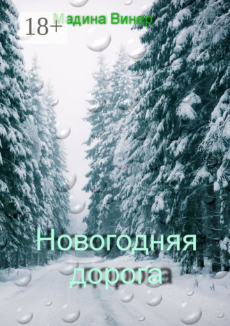 Обложка книги «Новогодняя дорога»