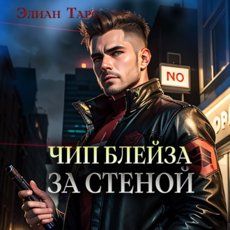 Обложка книги «Чип Блейза. За стеной»