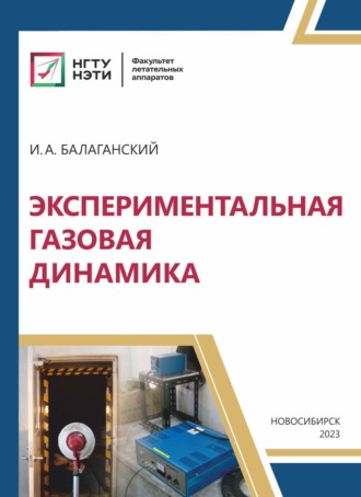 И. А. Балаганский. Экспериментальная газовая динамика