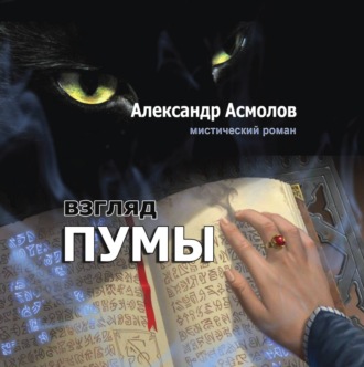 Обложка книги «Взгляд пумы»