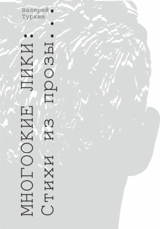 Обложка книги «Многоокие лики. Стихи из прозы»