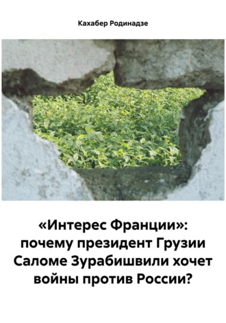 Обложка книги ««Интерес Франции»: почему президент Грузии Саломе Зурабишвили хочет войны против России?»