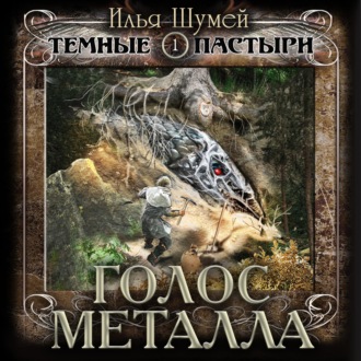 Обложка книги «Голос металла»