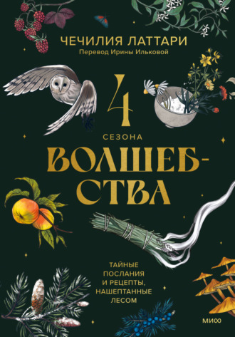 Обложка книги «4 сезона волшебства. Тайные послания и рецепты, нашептанные лесом»