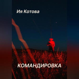 Обложка книги «Командировка»