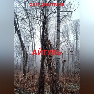 Обложка книги «Айгуль»