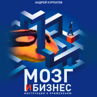 Обложка книги «Мозг и бизнес»