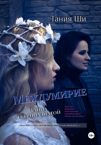 Обложка книги «Междумирие. Тайна о тринадцатой»
