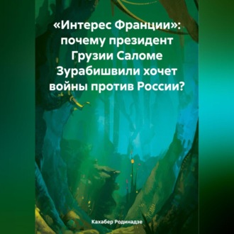 Обложка книги ««Интерес Франции»: почему президент Грузии Саломе Зурабишвили хочет войны против России?»