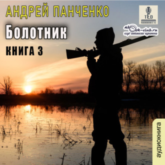Обложка книги «Болотник. Книга 3»