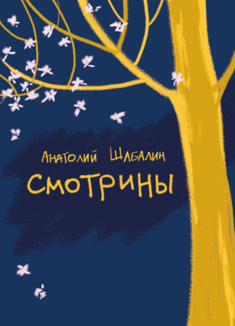 Обложка книги «Смотрины»