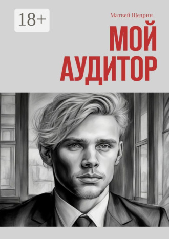 Обложка книги «Мой аудитор»