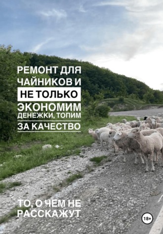 Обложка книги «Ремонт для чайников и не только. Экономим денежки, топим за качество. Гайд»