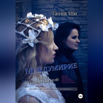Обложка книги «Междумирие. Тайна о тринадцатой»