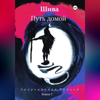Обложка книги «Шива. Путь домой»