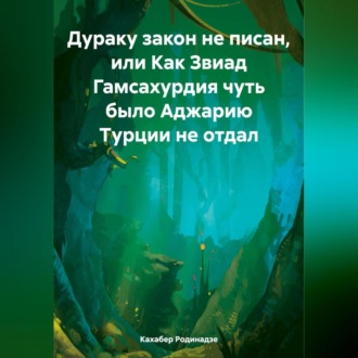 Обложка книги «Дураку закон не писан, или Как Звиад Гамсахурдия чуть было Аджарию Турции не отдал»