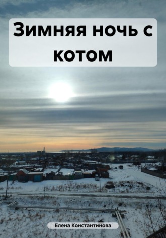 Обложка книги «Зимняя ночь с котом»