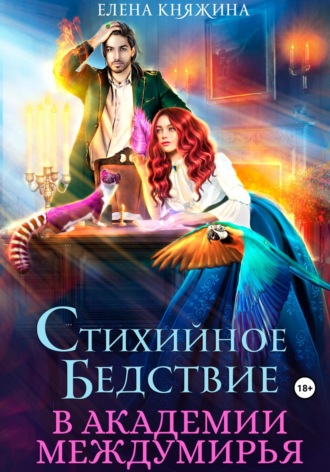 Обложка книги «Стихийное бедствие в Академии Междумирья»