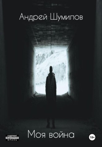 Обложка книги «Моя война»