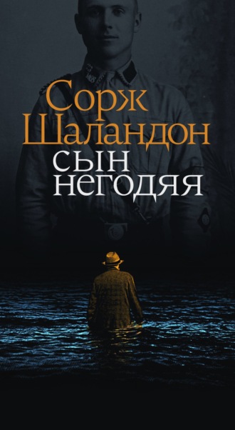 Обложка книги «Сын негодяя»