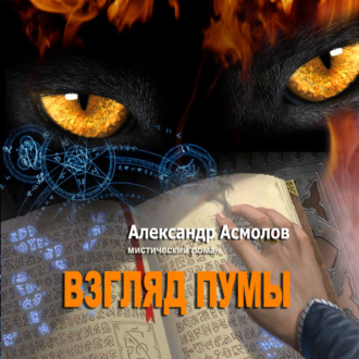 Обложка книги «Взгляд пумы»
