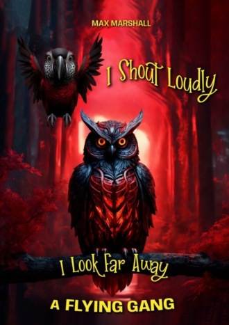 Обложка книги «I Shout Loudly, i Look Far Away! A Flying Gang»