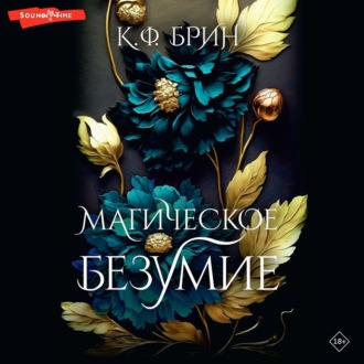 Обложка книги «Магическое безумие»