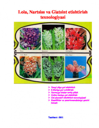 Хамдамович Равшан. Лола, Нартсисс ва Гиацинт етиштириш технологияси