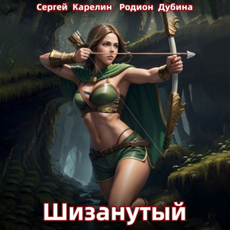 Обложка книги «Шизанутый»