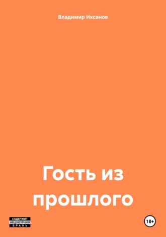 Обложка книги «Гость из прошлого»