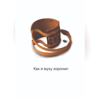 Обложка книги «Как я муху хоронил»