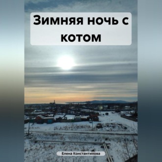 Обложка книги «Зимняя ночь с котом»