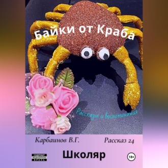 Обложка книги «Байки от Краба 24. Школяр»