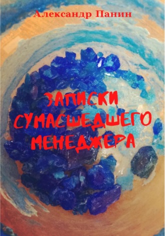 Александр Панин. Записки сумасшедшего менеджера