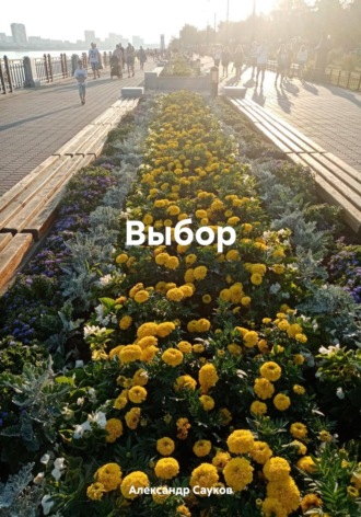 Обложка книги «Выбор»
