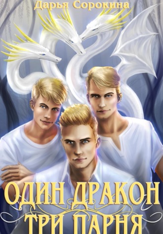Обложка книги «Один дракон – три парня»
