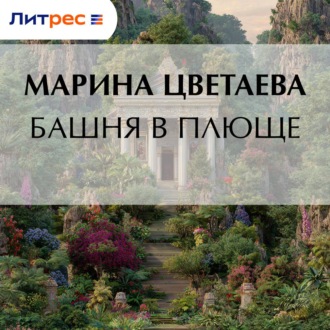 Обложка книги «Башня в плюще»