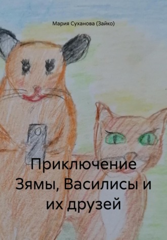 Обложка книги «Приключение Зямы, Василисы и их друзей»