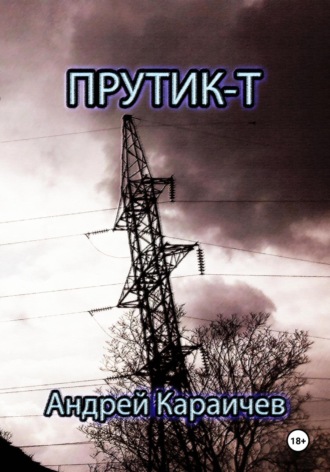Обложка книги «Прутик-Т»