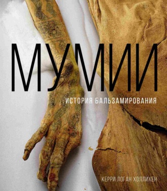 Обложка книги «Мумии. История бальзамирования»