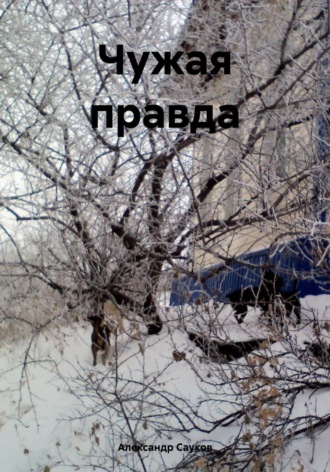 Обложка книги «Чужая правда»