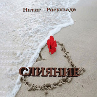 Обложка книги «Слияние»