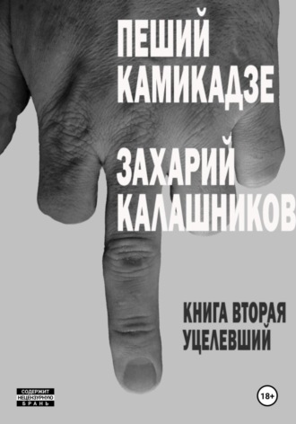 Обложка книги «Уцелевший (Пеший камикадзе. Книга вторая)»