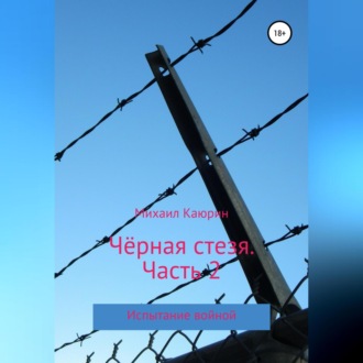 Обложка книги «Чёрная стезя. Часть 2»