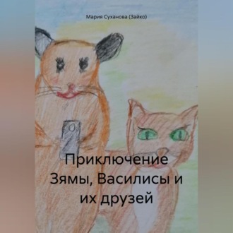 Обложка книги «Приключение Зямы, Василисы и их друзей»
