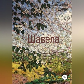 Обложка книги «Шавела»
