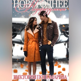 Обложка книги «Новогоднее недоразумение»