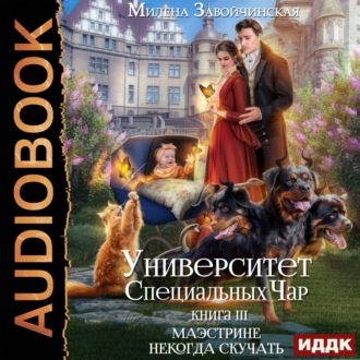 Обложка книги «Университет Специальных Чар. Книга 3. Маэстрине некогда скучать»
