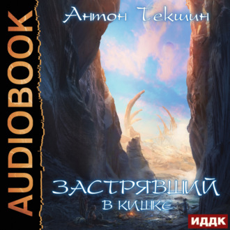 Обложка книги «Застрявший. Книга 3. Застрявший в Кишке»