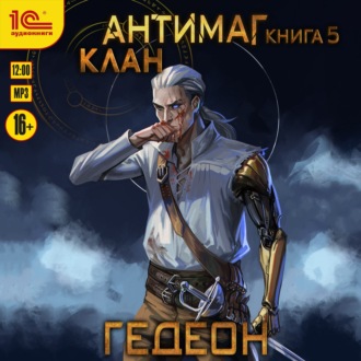 Обложка книги «Антимаг. Клан»